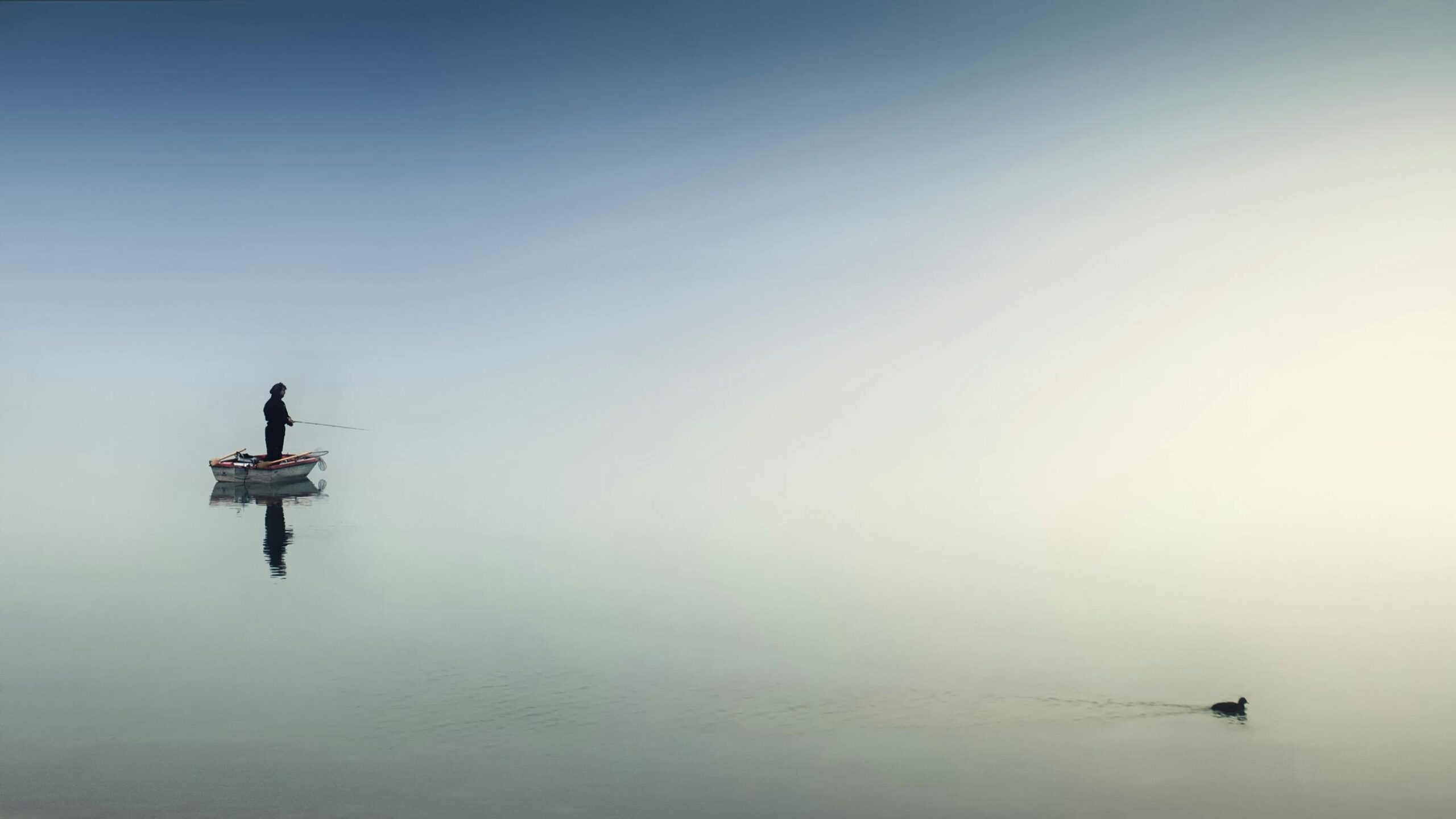 Jak rozpoznać phishing i chronić swoje dane osobowe?